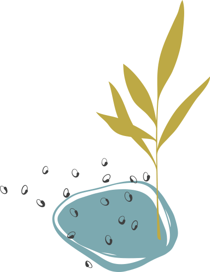 A plant growing out of a bowl of water.