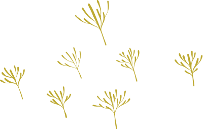 A set of gold leaves on a white background.
