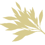 A gold leaf on a white background.