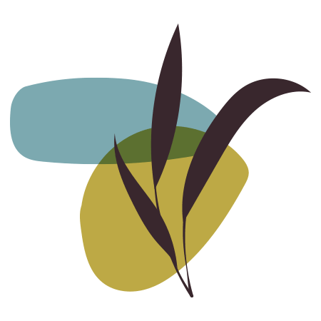 Abstract graphic of plant leaves with overlapping colorful shapes for health and wellness bookkeeping.